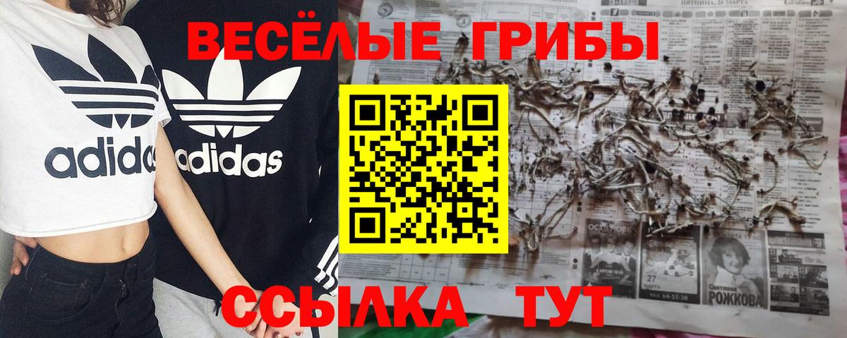 Коркино  Псилоцибиновые грибы Psilocybine cubensis  Галлюциногенные грибы MAGIC MUSHROOMS  Вход с VPN 